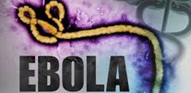 Ebola Information