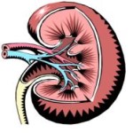 Chronic Renal Disease