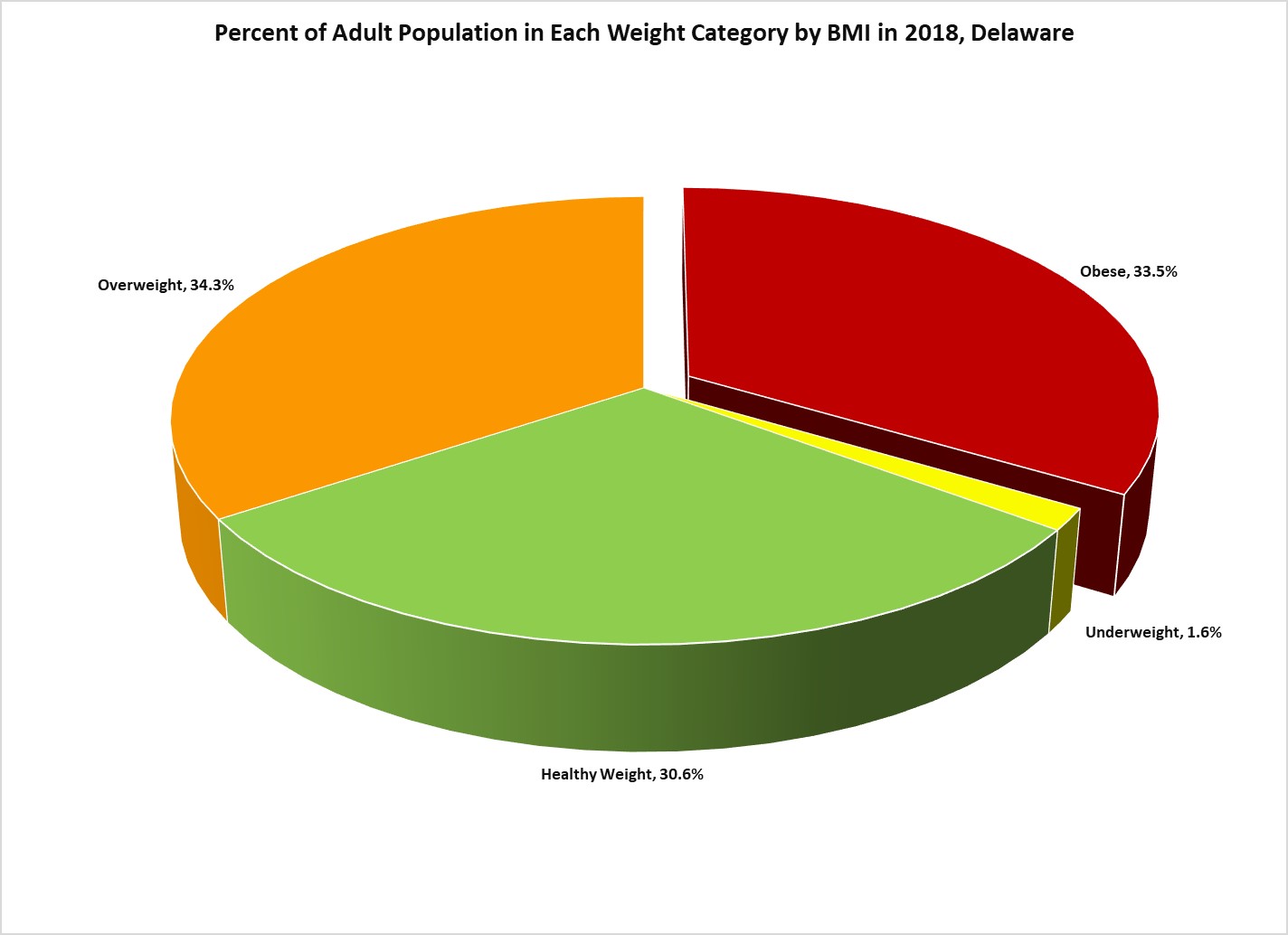 Obesity Prevention Update Delaware Health And Social Services