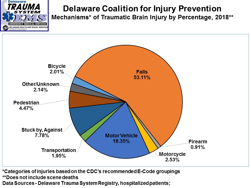 Causes of Traumatic Brain Injury