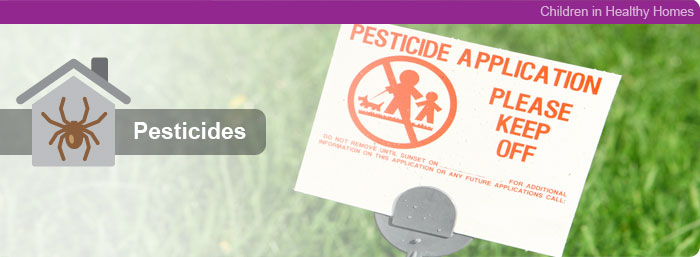 Children in Healthy Homes - Pesticides.