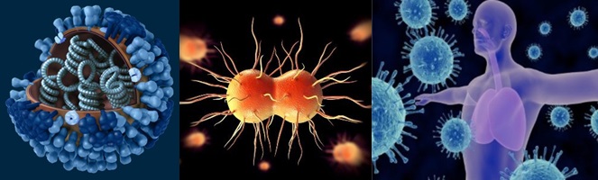 Photos of Infectious Disease.