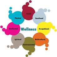 Wellness Image