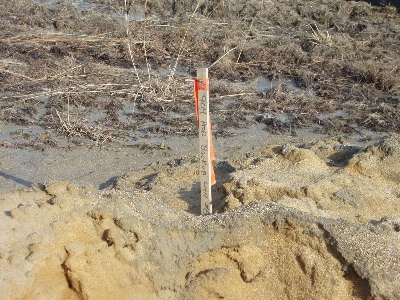 The marked location of the well.